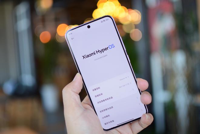 小米澎湃 OS 负责人金凡闭关，雷军回应组装机、吊丝机等热点问题