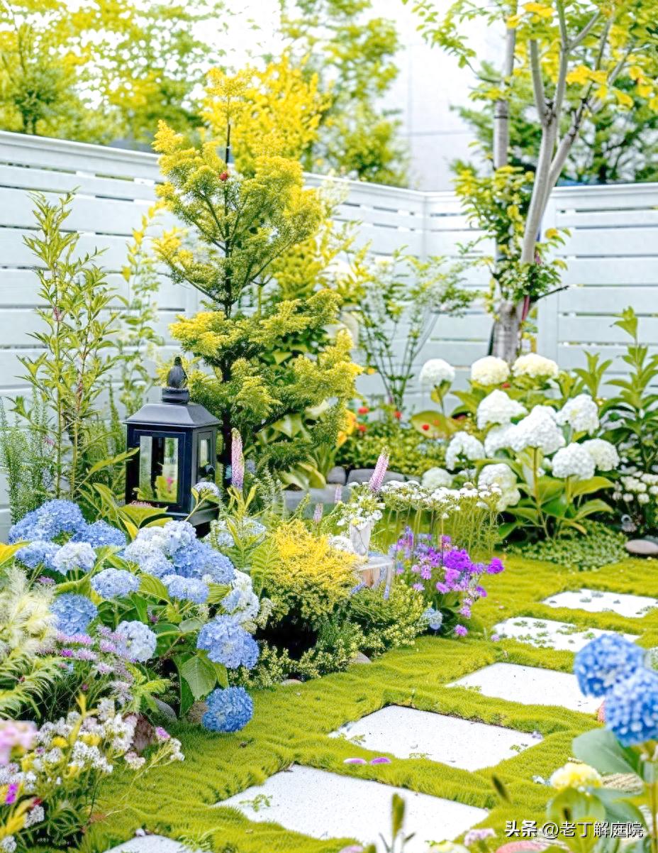 网购花草避坑指南：3招教你识破商家套路，省钱又省心