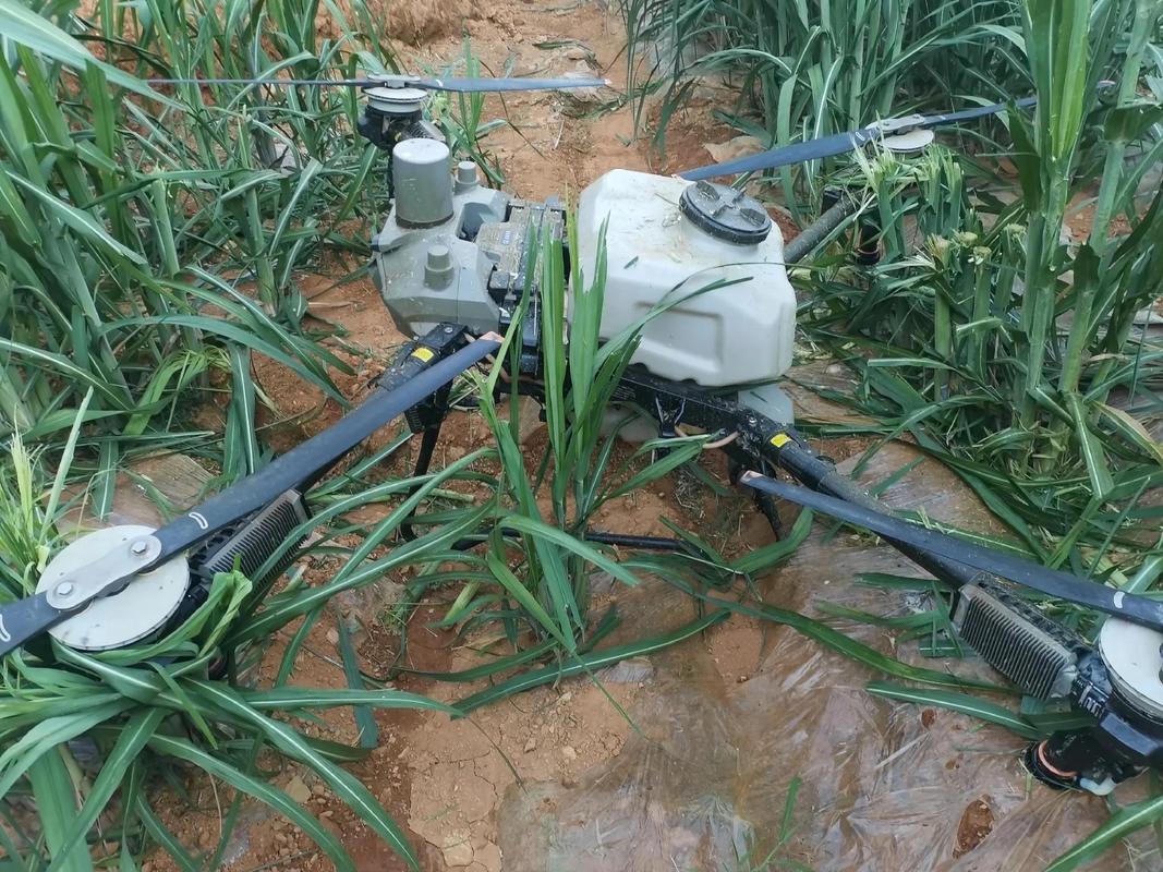 农业现代化进程中，大疆植保无人机清洗与维护全解析