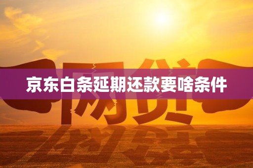 京东白条延期还款要啥条件