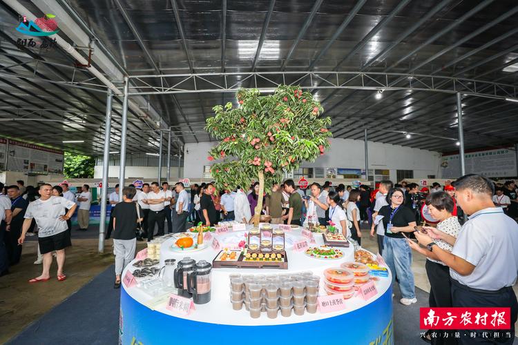 6月荔枝季，京东百亿农补大动作，超百个产业带共建基地