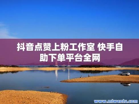 飞龙代买网：快手抖音免费刷粉网站推广，成就网红梦