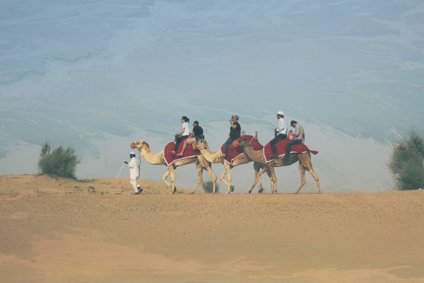 抖音里的音浪是什么意思？带你详细了解其含义与特点