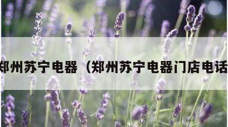 郑州苏宁哪家店最大？文化路农业路交叉口店面积达5万平