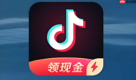 TikTok网页版登录入口及抖音涨粉慢？掌握这些方法很关键