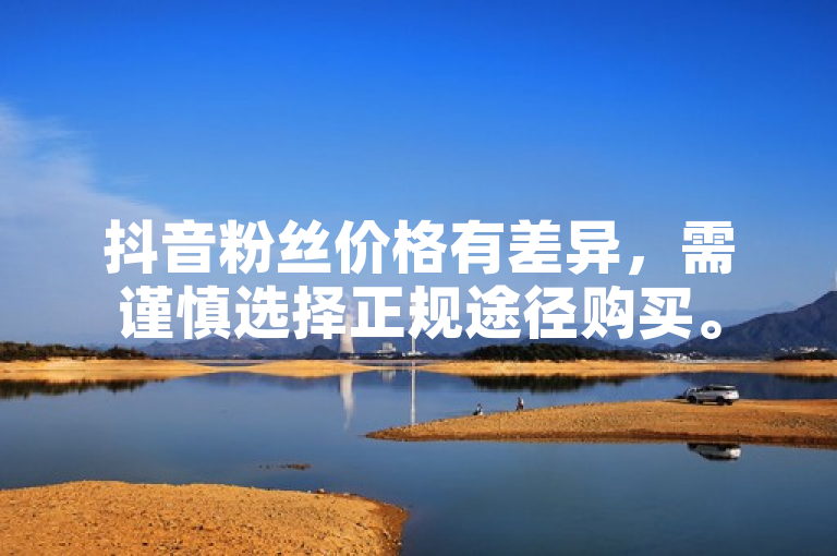 抖音粉丝价格受多种因素影响，购买粉丝有何风险？
