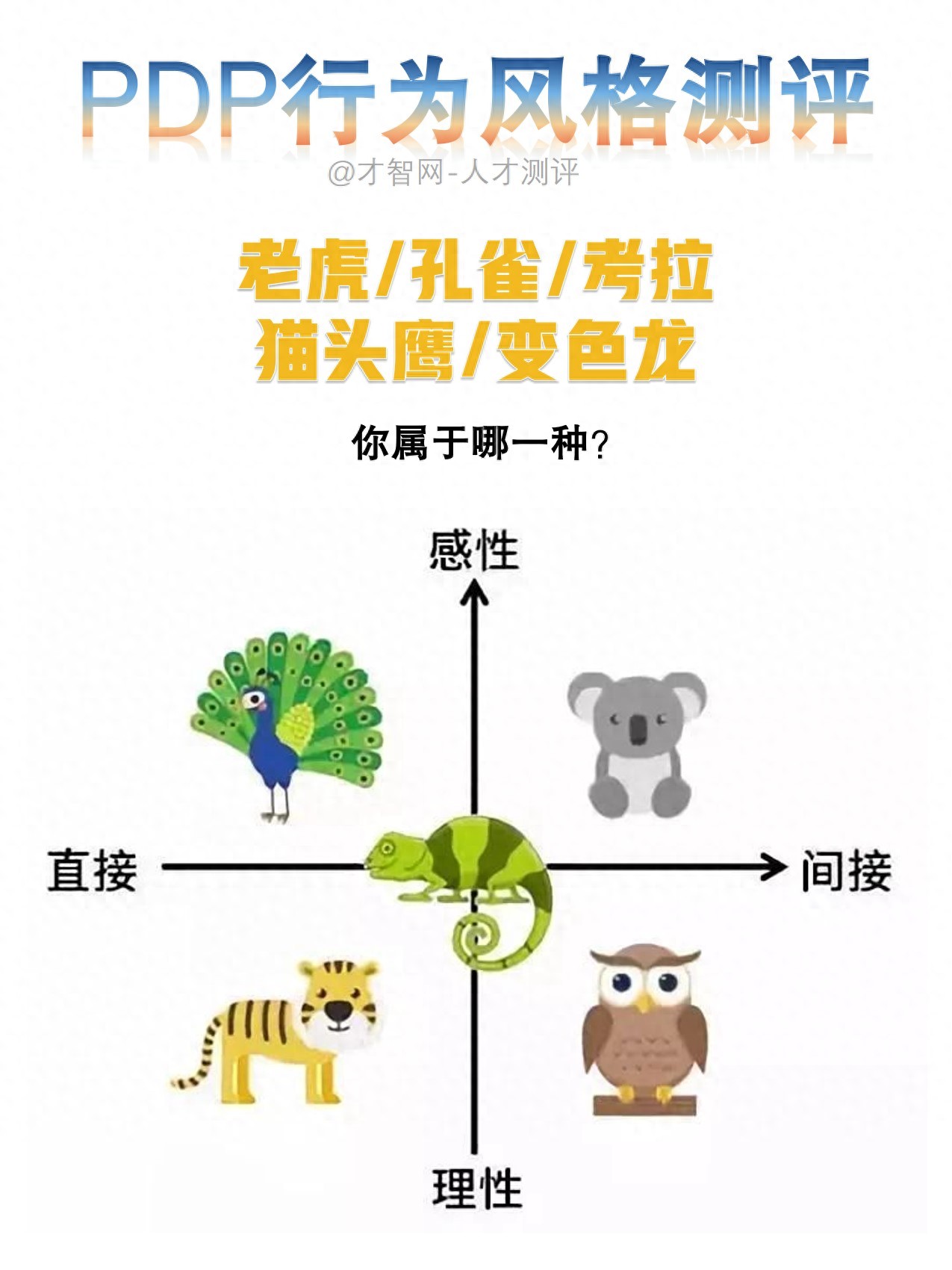 招聘必知：PDP测试的5种性格，你属于哪一种？