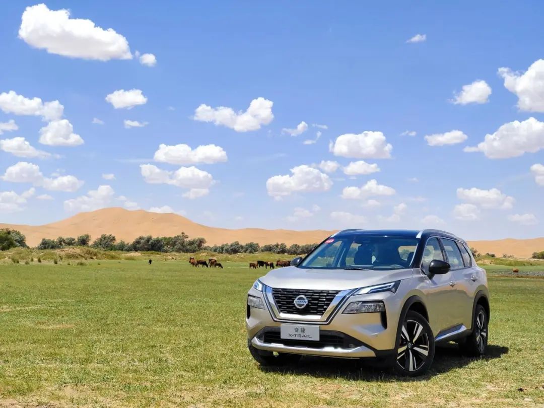 动力强、四驱更强的城市SUV!试驾全新一代奇骏