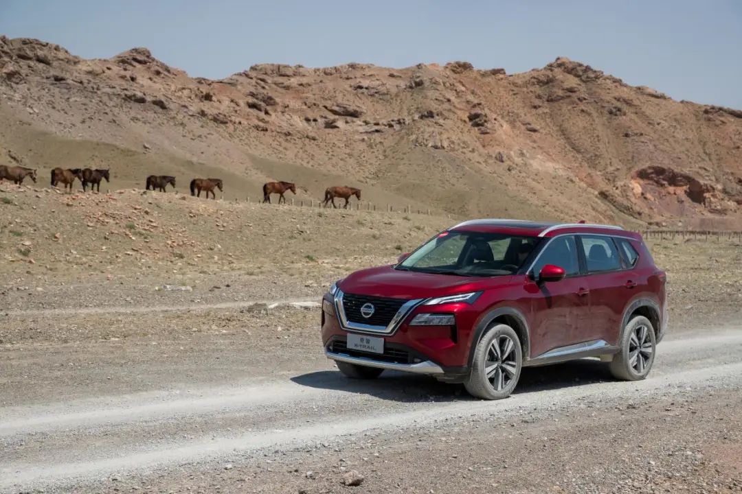 动力强、四驱更强的城市SUV!试驾全新一代奇骏