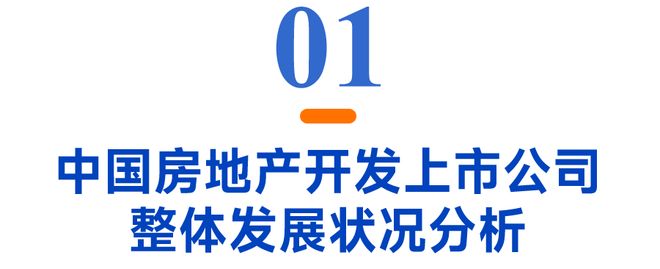 2025中国房地产上市公司测评研究报告