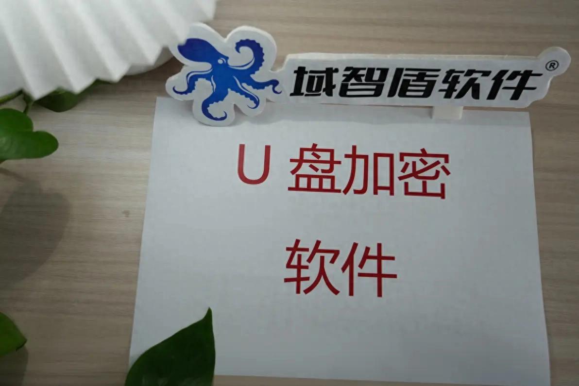 U盘加密软件推荐！保护数据安全，避免重要文件丢失