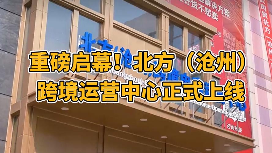 跨境电商试验区怎么运作？沧州新中心一站式服务揭秘