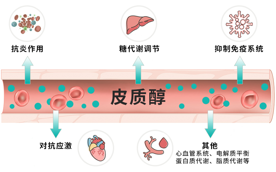 睡着玩手机的正确姿势