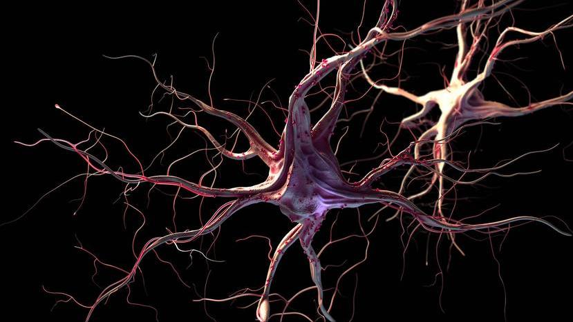 睡着玩手机的正确姿势