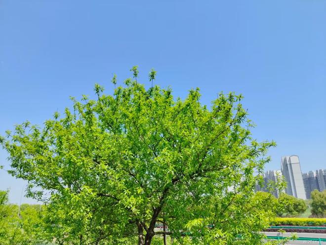 农民网上开网店赚钱难？听听这些开网店农民的经历