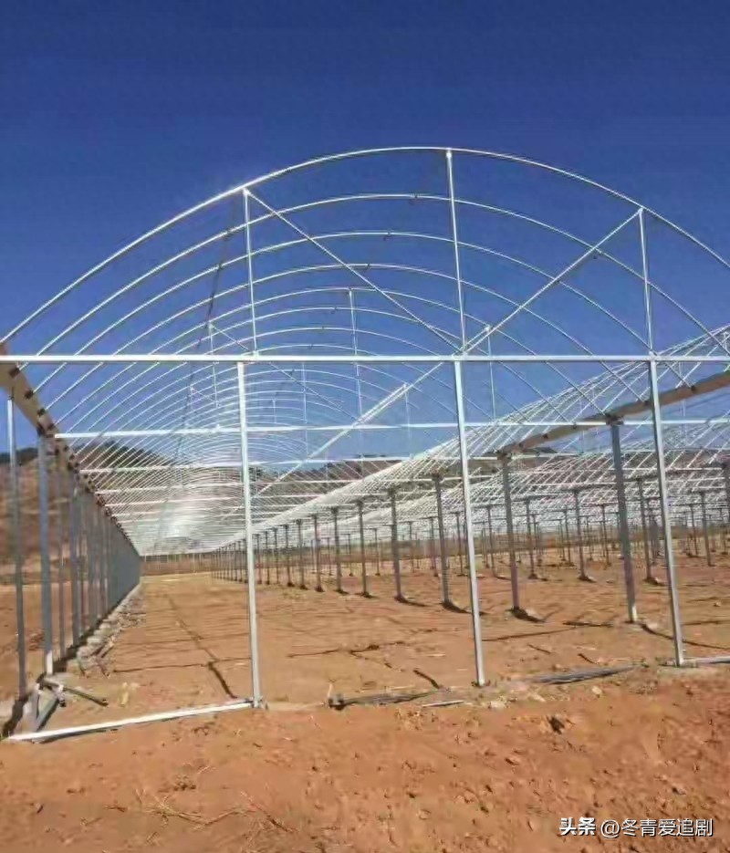 农村电商商机大揭秘！冷门刚需品竟藏着财富密码