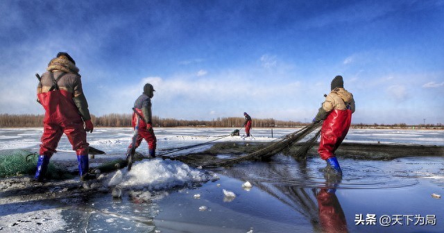 拼多多比价机制大揭秘，店铺流量利润守护攻略请查收