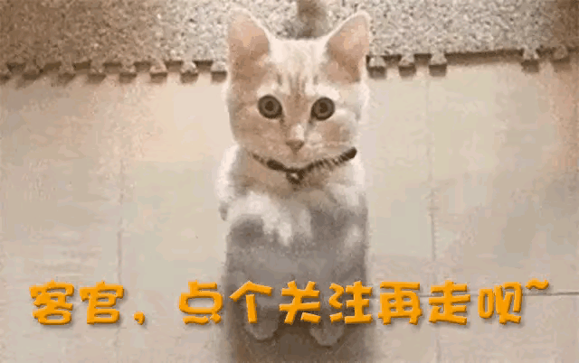 新买的手机需要贴膜吗