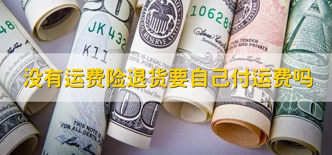 国际退货运费谁出？没运费险就得自己付