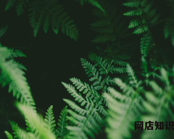 美团月付怎么关闭 取消美团月付的设置方法