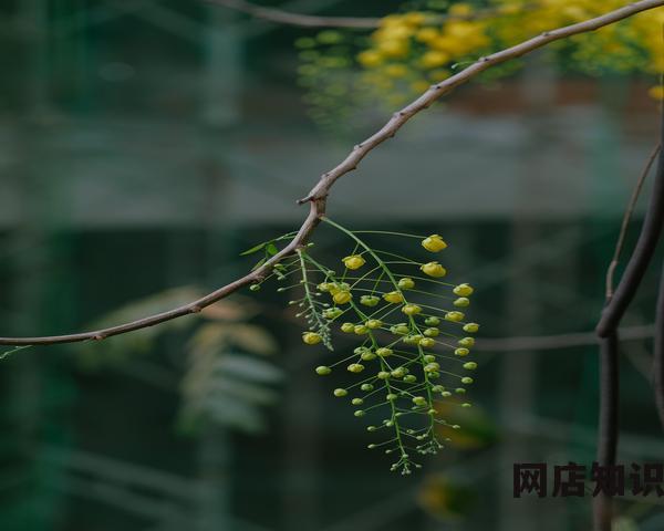 什么是电商平台入驻商户 商家入驻流程和退店流程详解