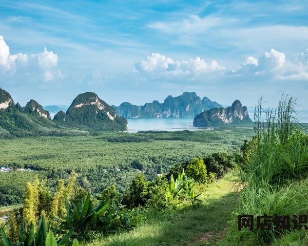 年货节营销方案怎么写 抓住机会客流翻倍
