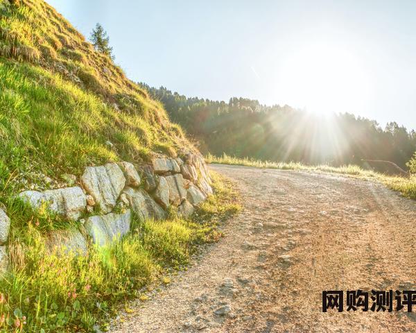 牛奶品牌排行榜 2023年7月京东牛奶乳品行业品牌销售排行榜