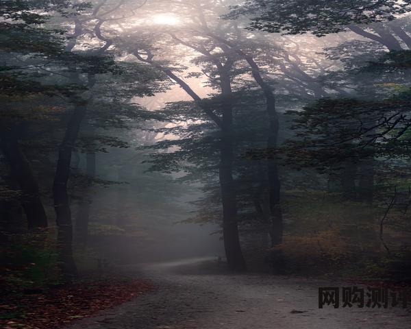 奶粉品牌排行榜 排行榜前十名的奶粉 奶粉品牌排行榜 排行榜前十名的奶粉