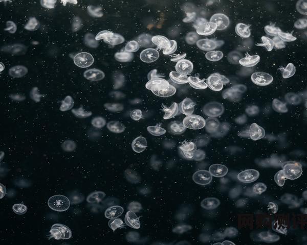 2023年工业除湿机品牌十大排名 除湿机什么牌子好