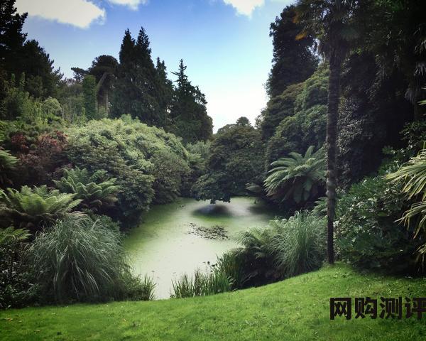 2023年运动鞋品牌排名前十名 2023年运动鞋品牌排名前十名