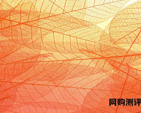 护肤品排名前十品牌 2023年十大护肤品品牌排行榜 护肤品排名前十品牌 2023年十大护肤品品牌排行榜