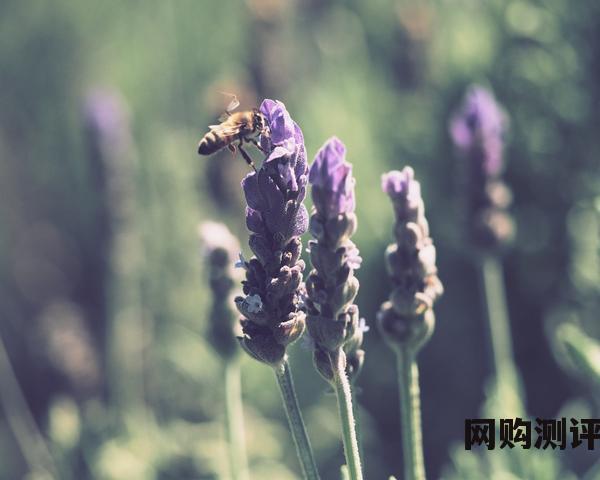 木门十大品牌排名 2022年最新的中国木门十大品牌是哪些