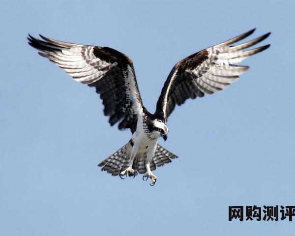 2023年国内品牌净水器排名榜前十名 中国净水器十大净水器品牌是哪些