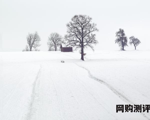 安卓手机最好浏览器是什么？安卓手机浏览器排名前十2023年好用的手机浏览器推荐