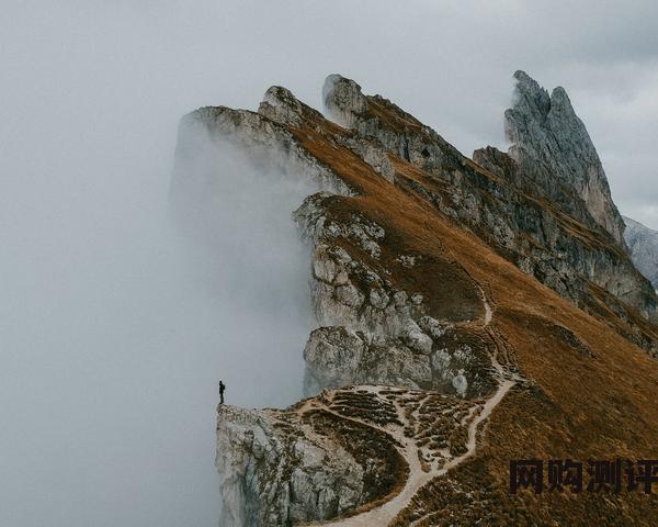 安卓手机最好浏览器是什么?安卓手机浏览器排名前十2023年好用的手机浏览器推荐 安卓手机最好浏览器是什么?安卓手机浏览器排名前十2023年好用的手机浏览器推荐