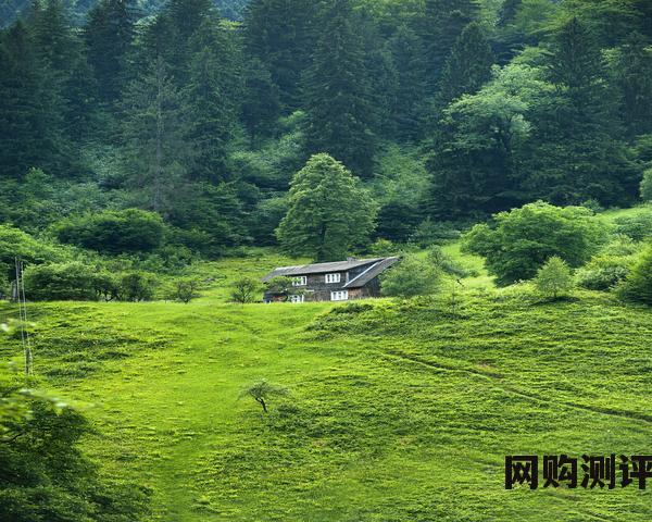 手表排名前十名的品牌大全 世界十大名表品牌排行榜 劳力士只排在了第十