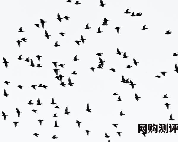 保暖内衣品牌排行榜 什么牌子的保暖内衣暖和