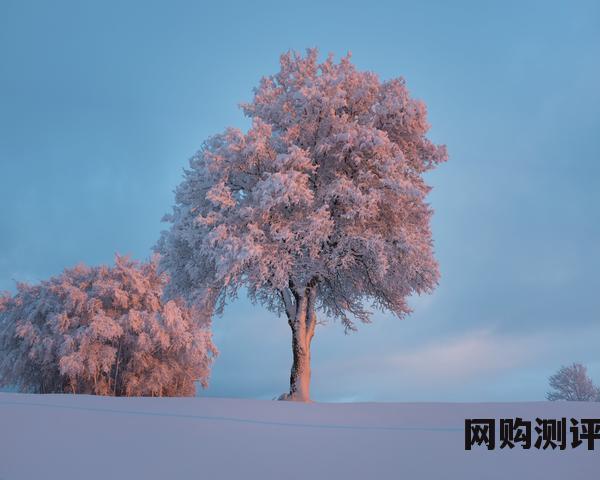 2023年香水品牌排名前十名