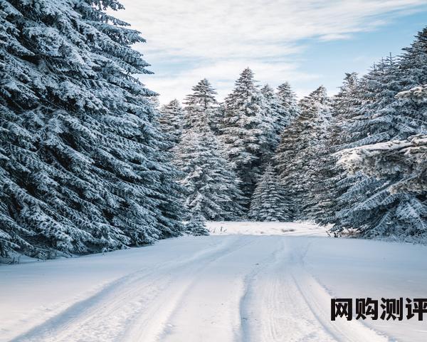 2023年香水品牌排名前十名 2023年香水品牌排名前十名