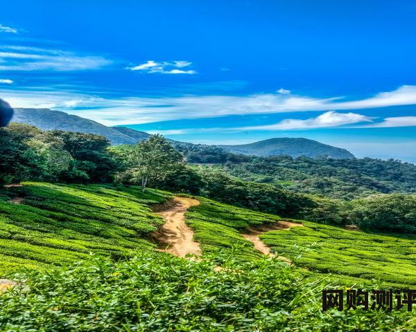 名牌床垫有哪些品牌 2023前十五满意度排行榜 名牌床垫有哪些品牌 2023前十五满意度排行榜