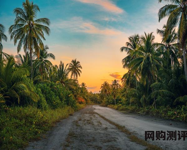 燃气灶排名前十名的品牌 2023年燃气灶十大品牌排行榜