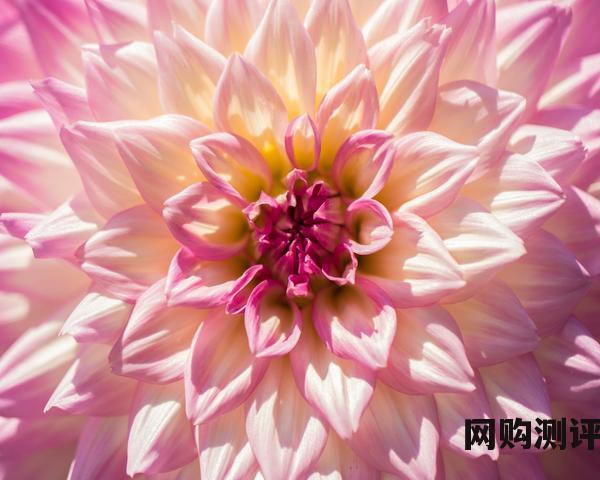 哪个牌子性价比高最好用？2023洗衣机品牌排行榜前十名