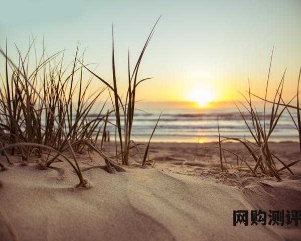 2023年水性漆品牌十大排名 水性漆的品牌介绍以及价格分析