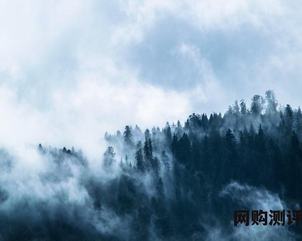 2023年女包品牌排名 十大经典品牌女包点评 2023年女包品牌排名 十大经典品牌女包点评