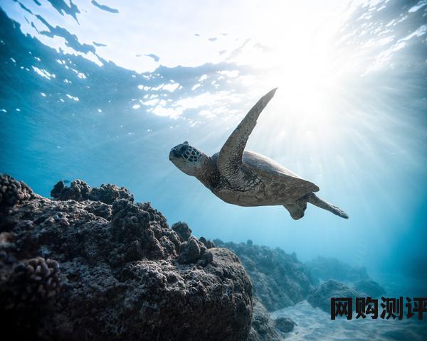 2023空气能热水器排名前十有哪些？空气能十大品牌排行榜