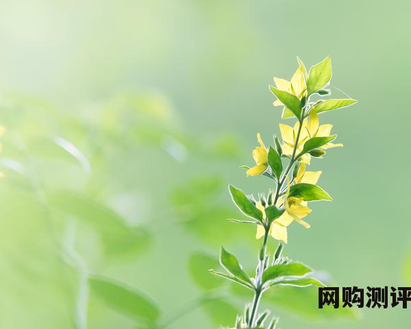 2023年电脑排行榜笔记本前十名性价比 笔记本电脑排名前十名的品牌