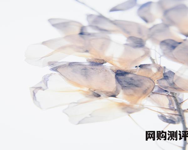 联想台式电脑排名 2023年台式机排行榜前十名