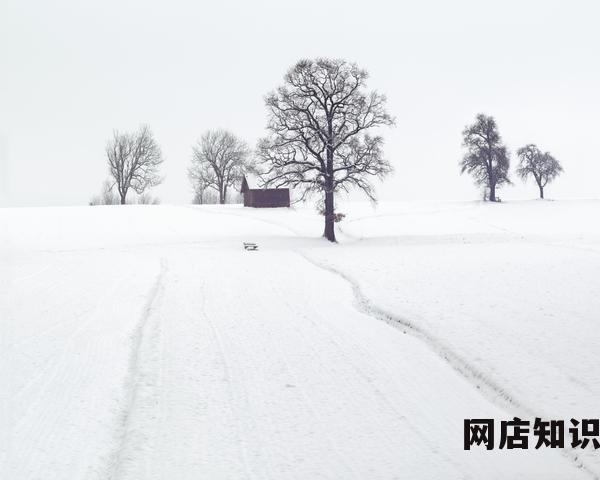 开天猫店需要什么条件？2023年猫开店费用及流程详解