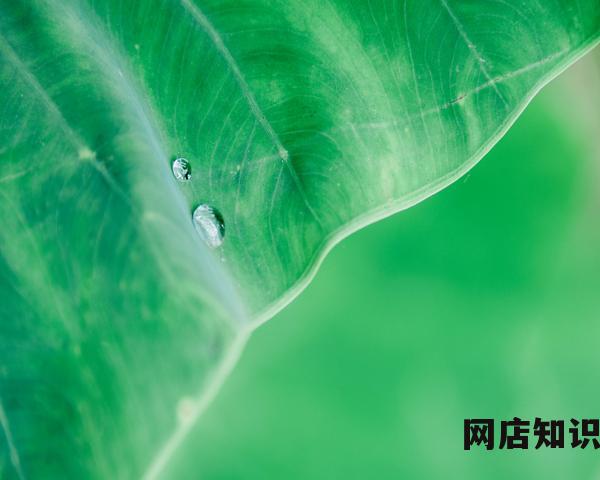 2023跨境电商是正在成长的外贸增长点