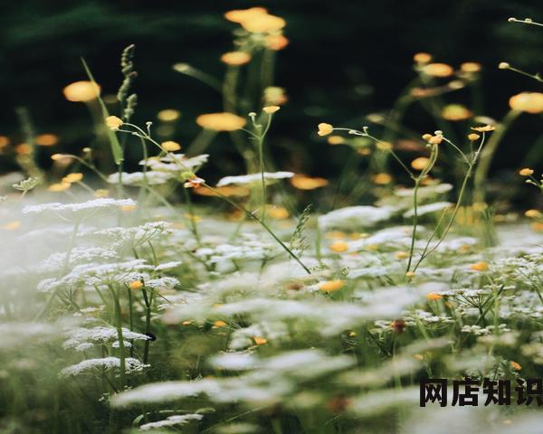 电商仓储解决方案 电商仓储三大难题的解决方式